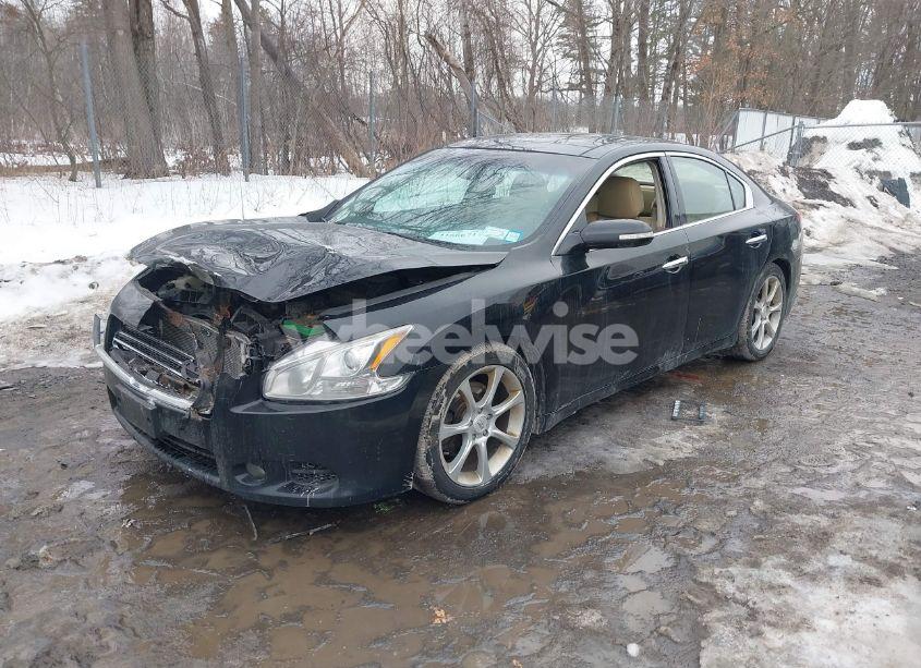 Photo 2 of 2009 Nissan Maxima 3.5 SV (VIN 1N4AA51E09C842086)