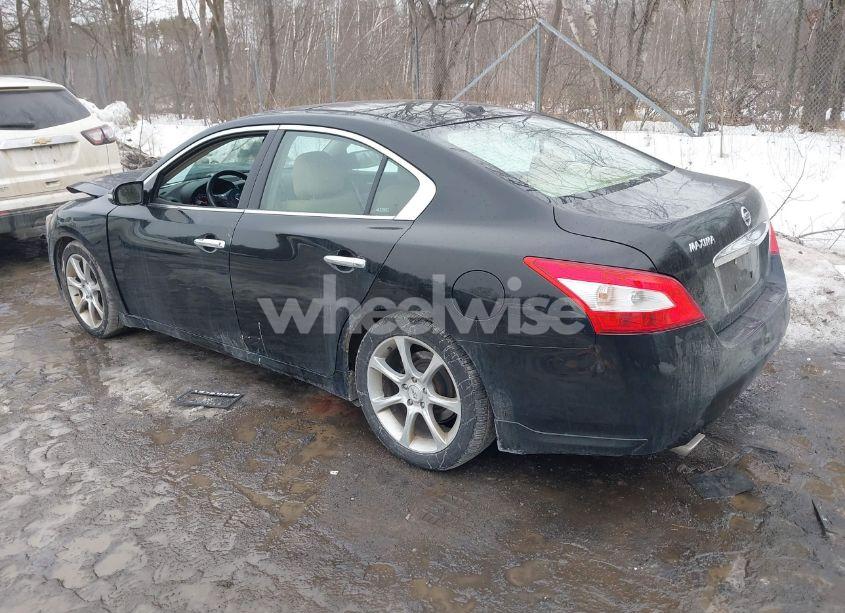 Photo 3 of 2009 Nissan Maxima 3.5 SV (VIN 1N4AA51E09C842086)