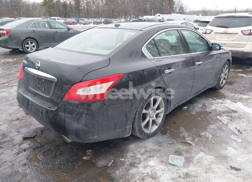Photo 4 of 2009 Nissan Maxima 3.5 SV (VIN 1N4AA51E09C842086)