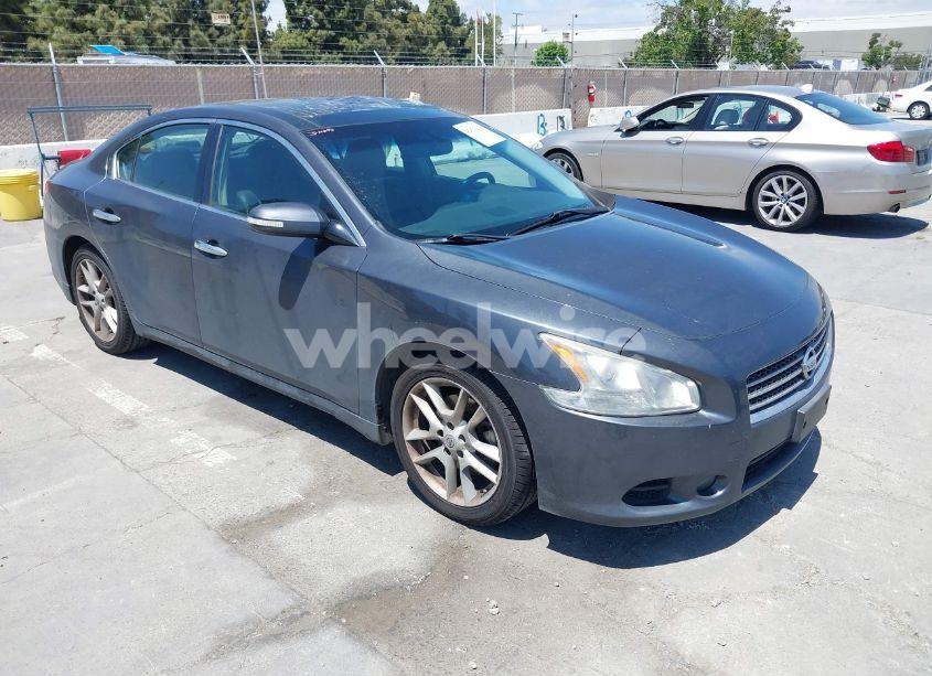 2009 Nissan Maxima 3.5 SV (VIN 1N4AA51E09C847739) main photo