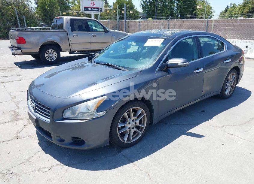 Photo 2 of 2009 Nissan Maxima 3.5 SV (VIN 1N4AA51E09C847739)