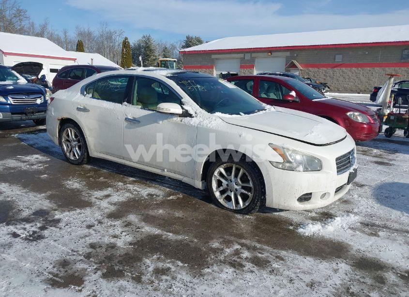2009 Nissan Maxima 3.5 SV (VIN 1N4AA51E09C847983) main photo
