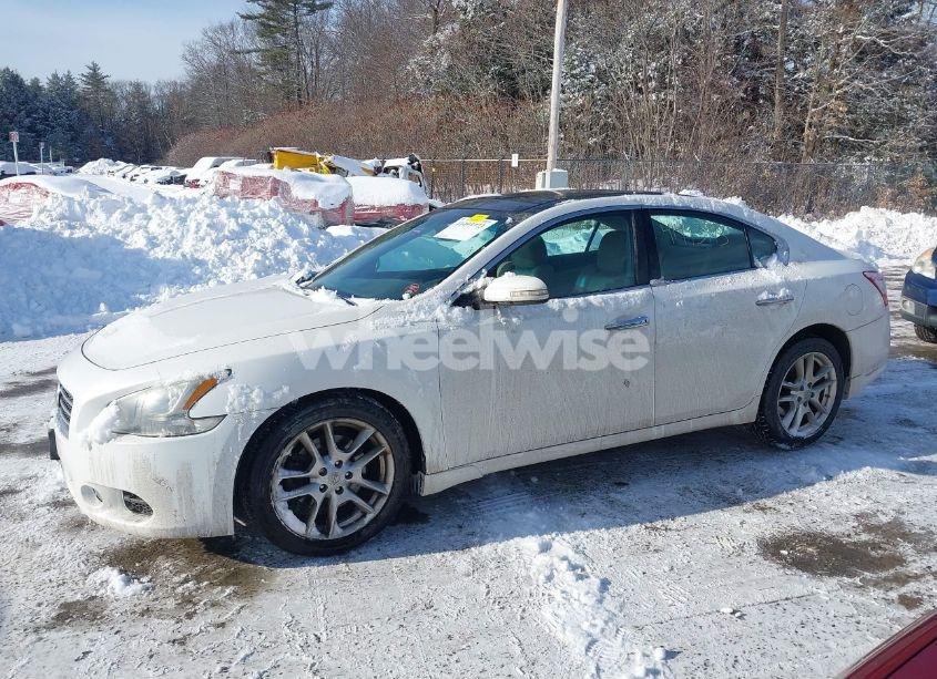 Photo 12 of 2009 Nissan Maxima 3.5 SV (VIN 1N4AA51E09C847983)