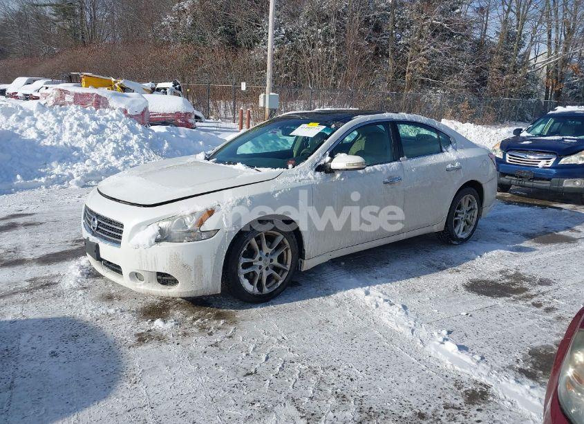 Photo 2 of 2009 Nissan Maxima 3.5 SV (VIN 1N4AA51E09C847983)