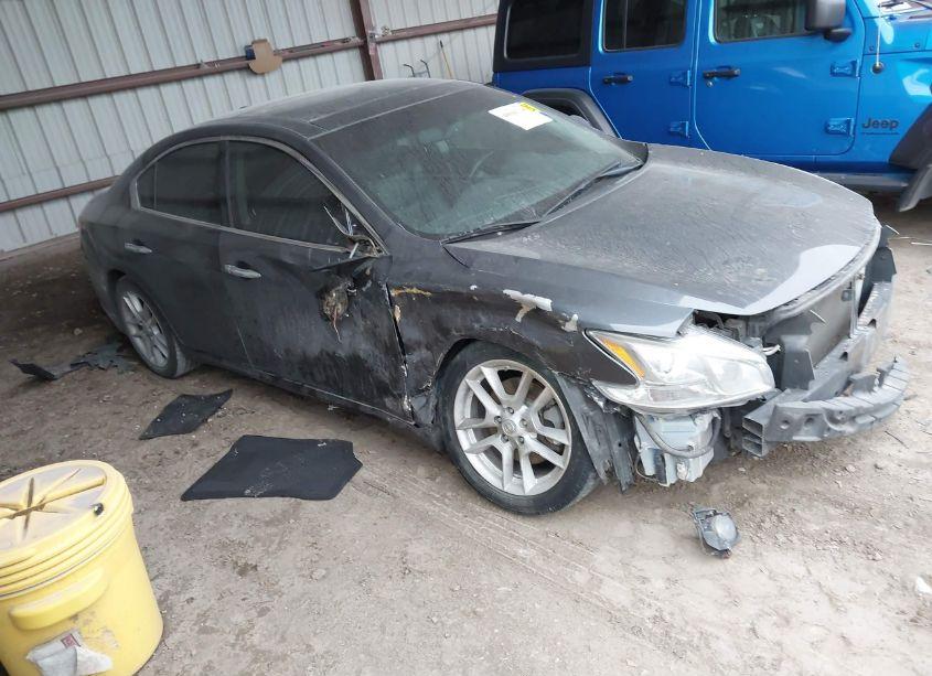 2009 Nissan Maxima 3.5 SV (VIN 1N4AA51E09C853542) main photo