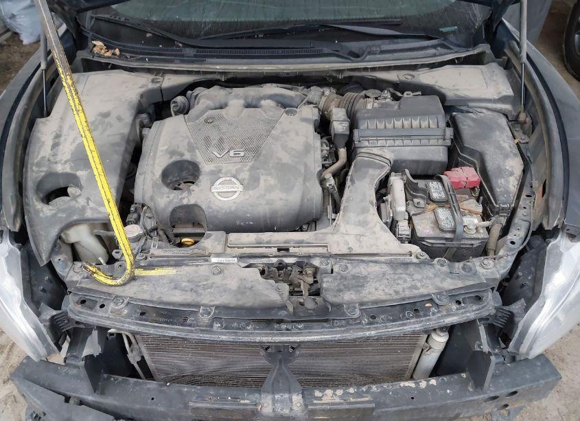 Photo 10 of 2009 Nissan Maxima 3.5 SV (VIN 1N4AA51E09C853542)