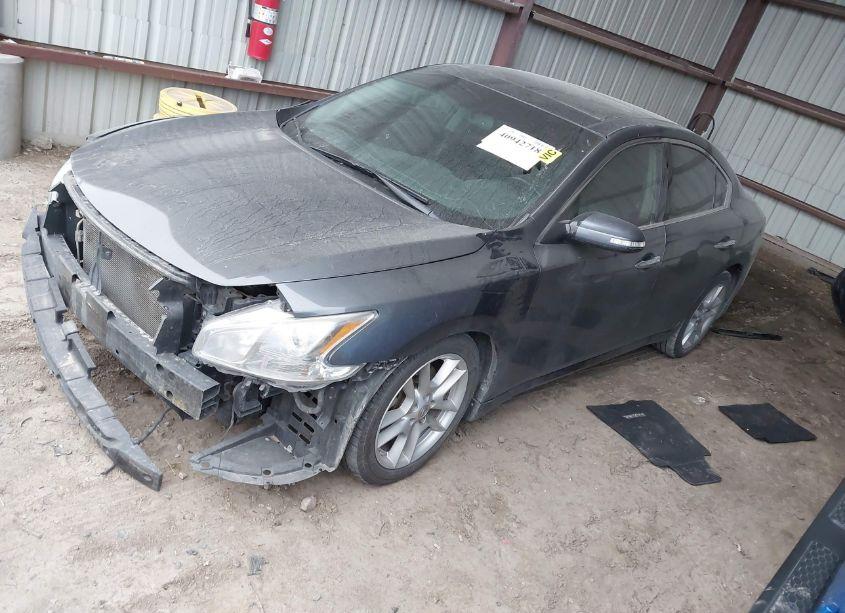 Photo 2 of 2009 Nissan Maxima 3.5 SV (VIN 1N4AA51E09C853542)