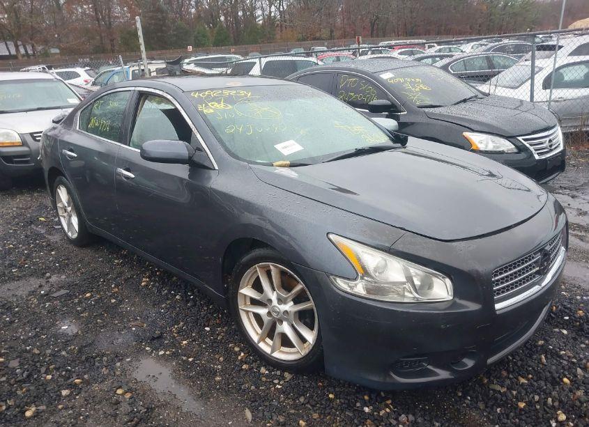 2009 Nissan Maxima 3.5 S (VIN 1N4AA51E09C855873) main photo