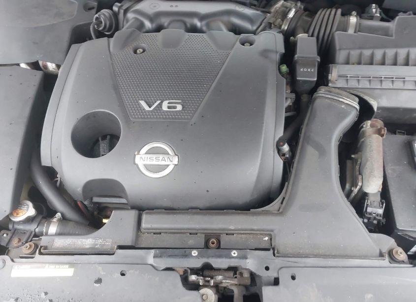Photo 10 of 2009 Nissan Maxima 3.5 S (VIN 1N4AA51E09C855873)
