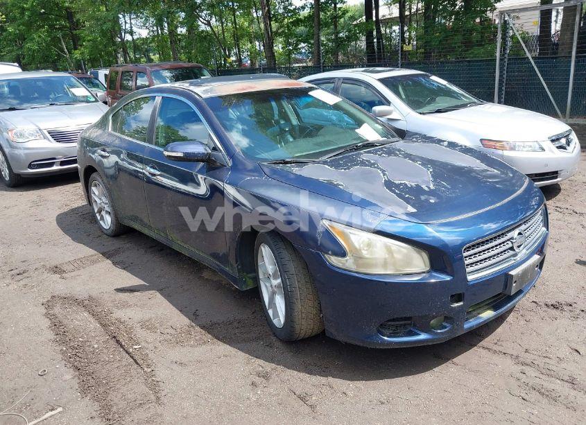 2009 Nissan Maxima 3.5 SV (VIN 1N4AA51E09C859437) main photo