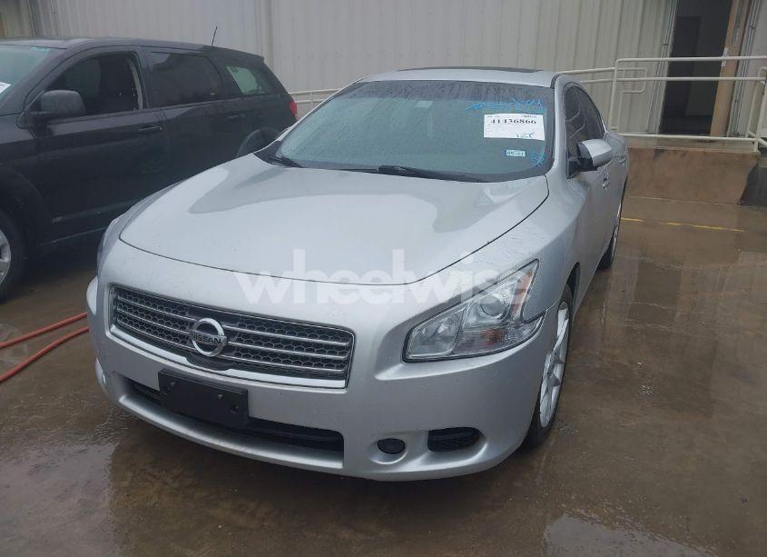 Photo 6 of 2009 Nissan Maxima 3.5 S (VIN 1N4AA51E19C804575)