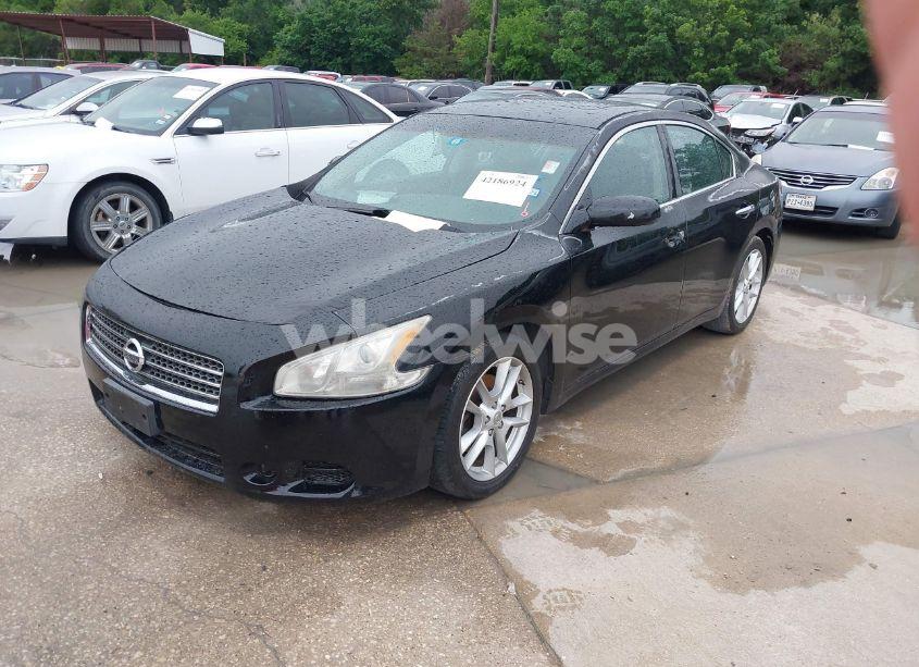 Photo 2 of 2009 Nissan Maxima 3.5 S (VIN 1N4AA51E19C806374)