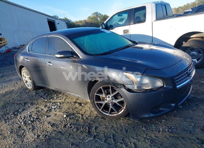 2009 Nissan Maxima 3.5 SV (VIN 1N4AA51E19C806861) main photo