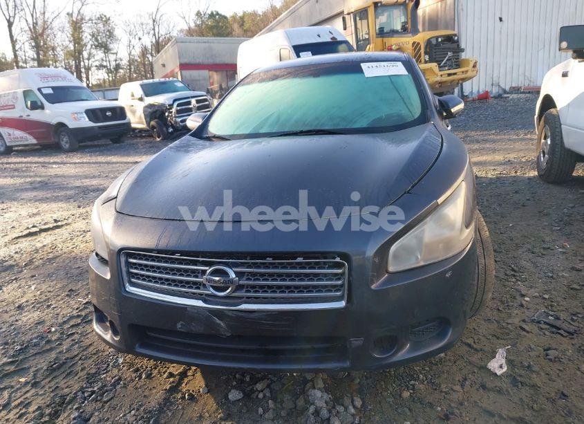 Photo 12 of 2009 Nissan Maxima 3.5 SV (VIN 1N4AA51E19C806861)