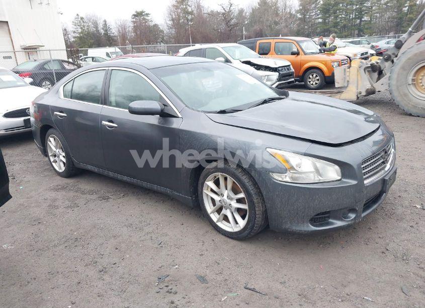 2009 Nissan Maxima 3.5 S (VIN 1N4AA51E19C818847) main photo