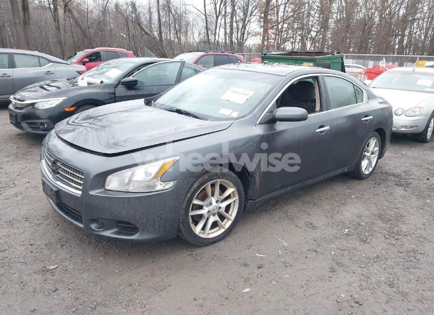 Photo 2 of 2009 Nissan Maxima 3.5 S (VIN 1N4AA51E19C818847)