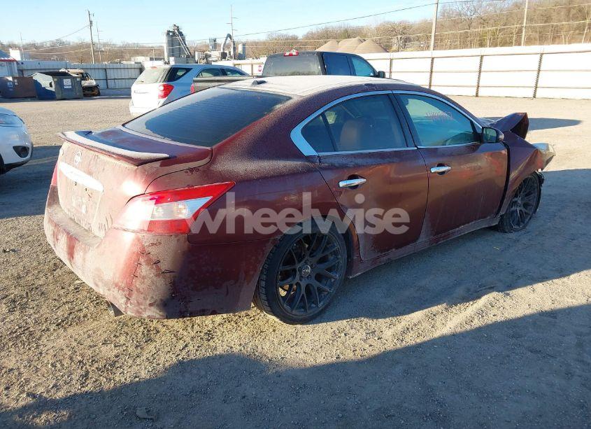 Photo 4 of 2009 Nissan Maxima 3.5 SV (VIN 1N4AA51E19C818878)