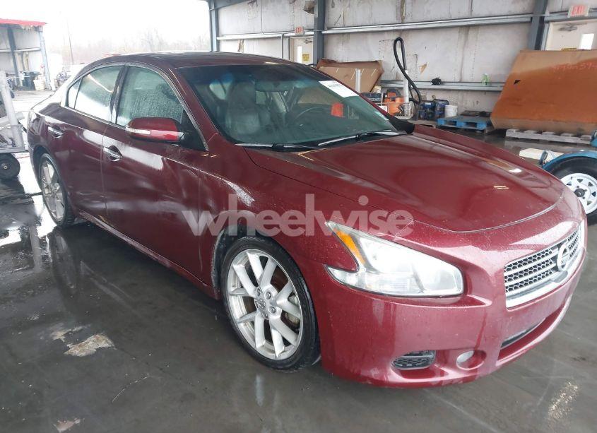 2009 Nissan Maxima 3.5 SV (VIN 1N4AA51E19C819173) main photo