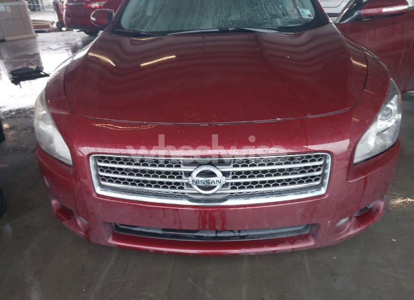 Photo 6 of 2009 Nissan Maxima 3.5 SV (VIN 1N4AA51E19C819173)