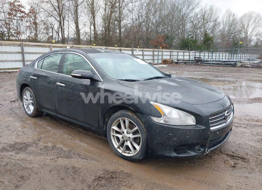 2009 Nissan Maxima 3.5 SV (VIN 1N4AA51E19C826866) main photo