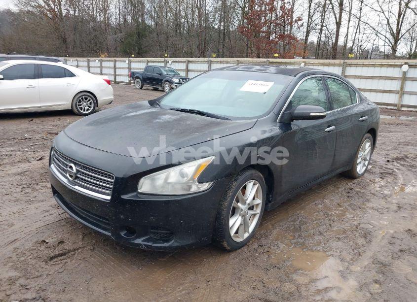 Photo 2 of 2009 Nissan Maxima 3.5 SV (VIN 1N4AA51E19C826866)