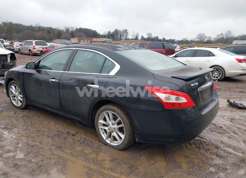 Photo 3 of 2009 Nissan Maxima 3.5 SV (VIN 1N4AA51E19C826866)
