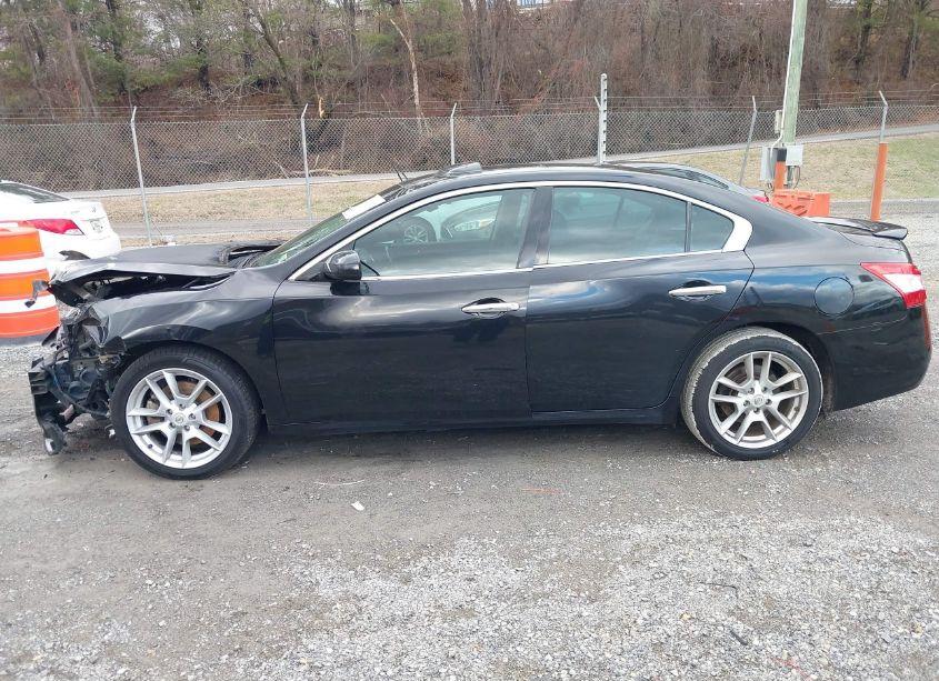 Photo 14 of 2009 Nissan Maxima 3.5 S (VIN 1N4AA51E19C840346)