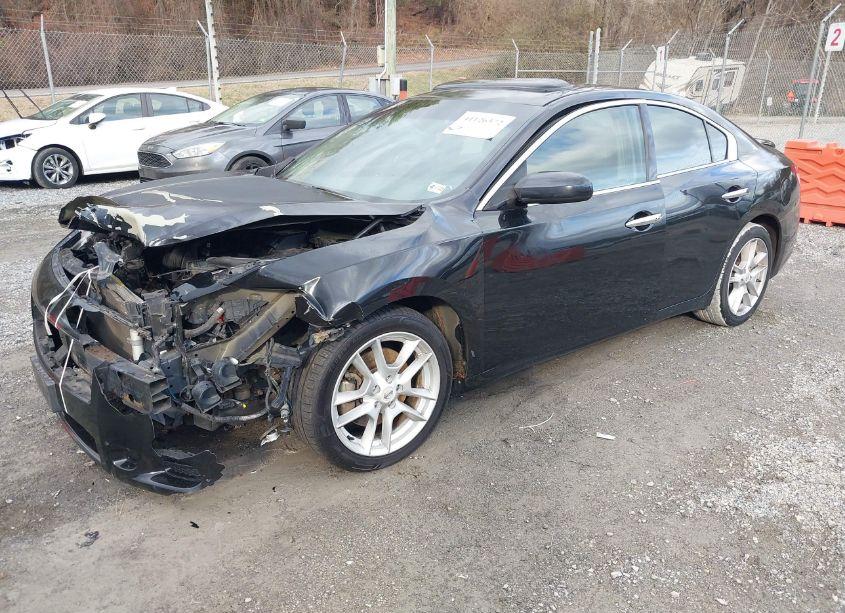 Photo 2 of 2009 Nissan Maxima 3.5 S (VIN 1N4AA51E19C840346)