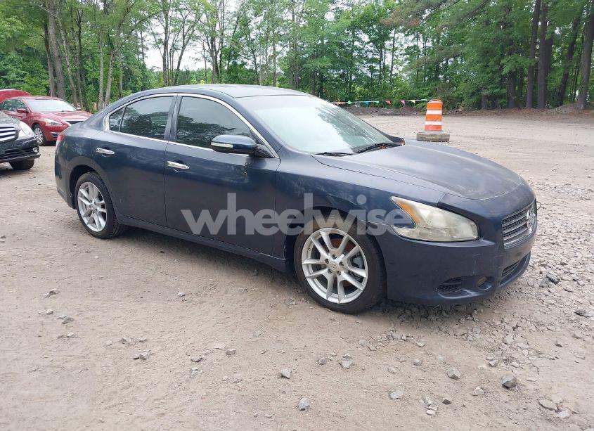 2009 Nissan Maxima 3.5 SV (VIN 1N4AA51E19C845238) main photo