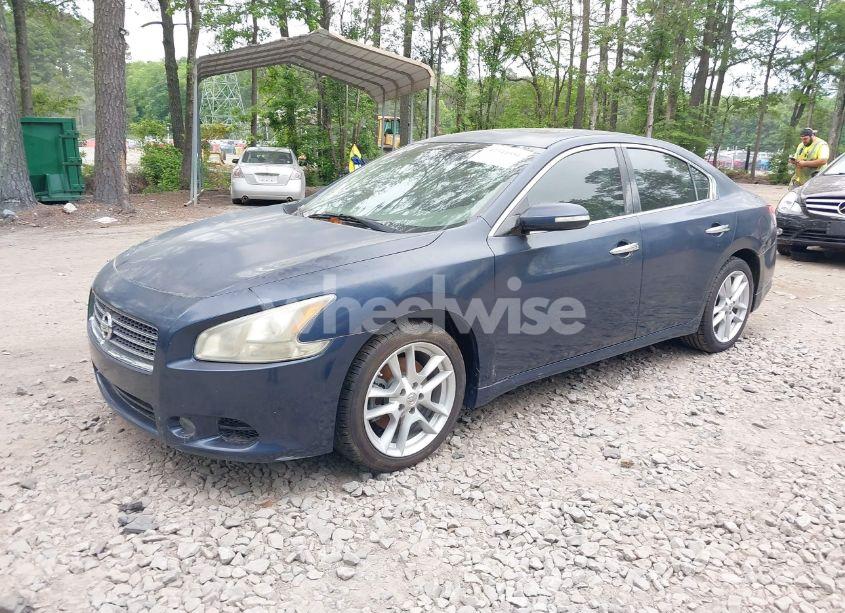 Photo 2 of 2009 Nissan Maxima 3.5 SV (VIN 1N4AA51E19C845238)