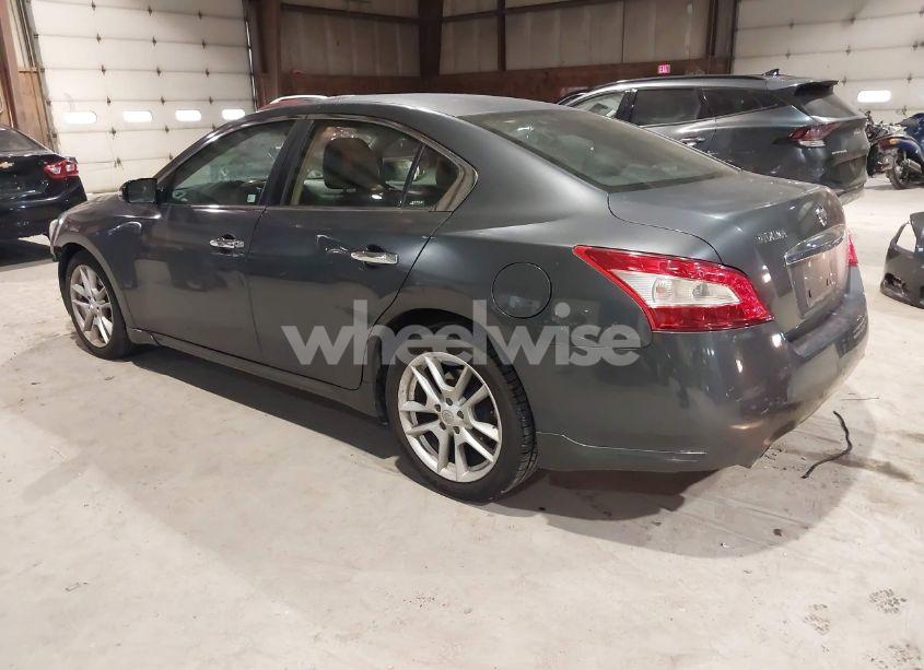 Photo 3 of 2009 Nissan Maxima 3.5 SV (VIN 1N4AA51E19C852416)