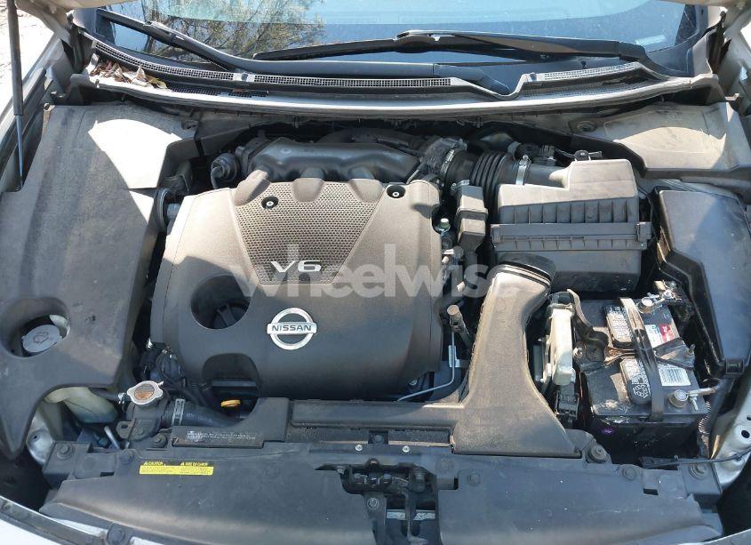 Photo 10 of 2009 Nissan Maxima 3.5 SV (VIN 1N4AA51E19C853663)
