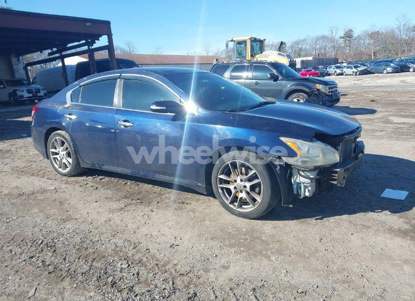 2009 Nissan Maxima 3.5 SV (VIN 1N4AA51E19C856742) main photo