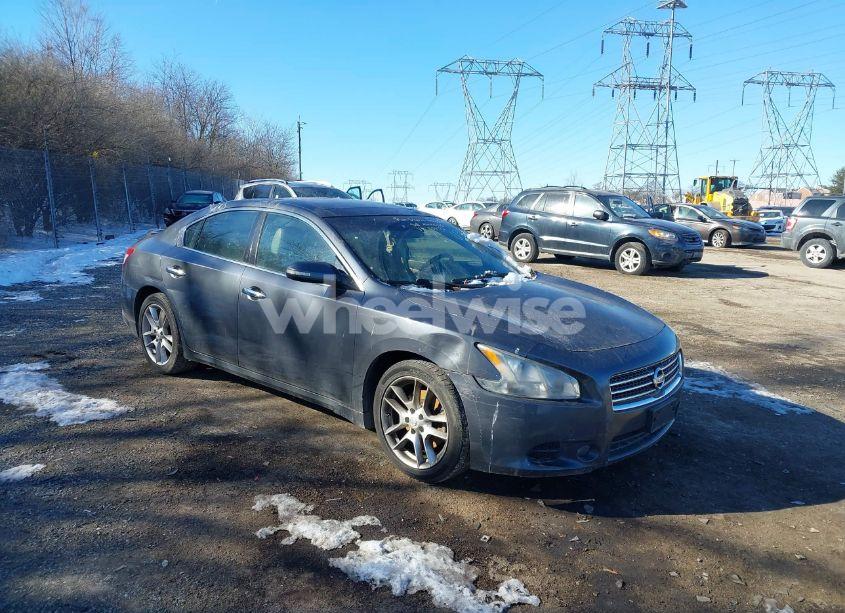 2009 Nissan Maxima 3.5 SV (VIN 1N4AA51E19C858183) main photo