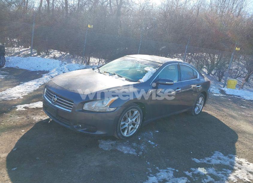 Photo 2 of 2009 Nissan Maxima 3.5 SV (VIN 1N4AA51E19C858183)