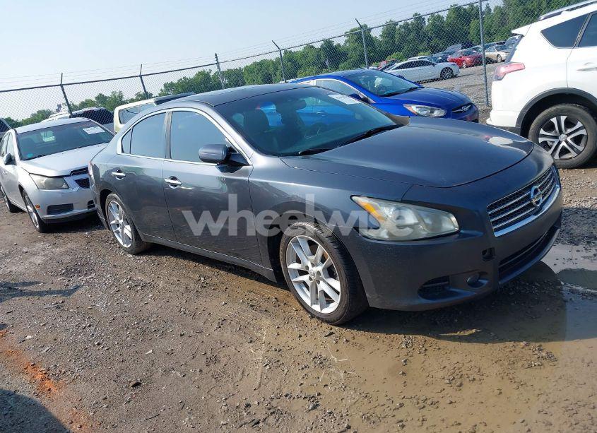 2009 Nissan Maxima 3.5 SV (VIN 1N4AA51E19C860967) main photo