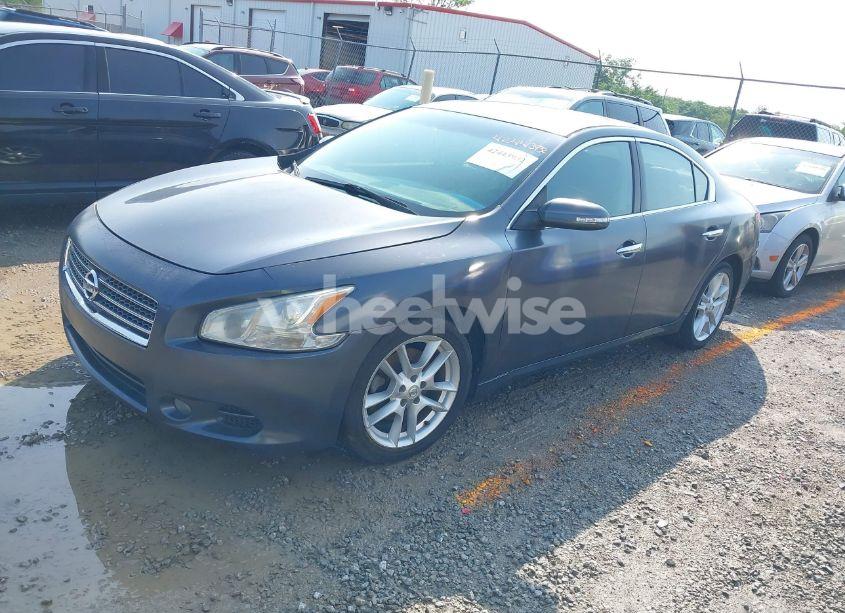 Photo 2 of 2009 Nissan Maxima 3.5 SV (VIN 1N4AA51E19C860967)