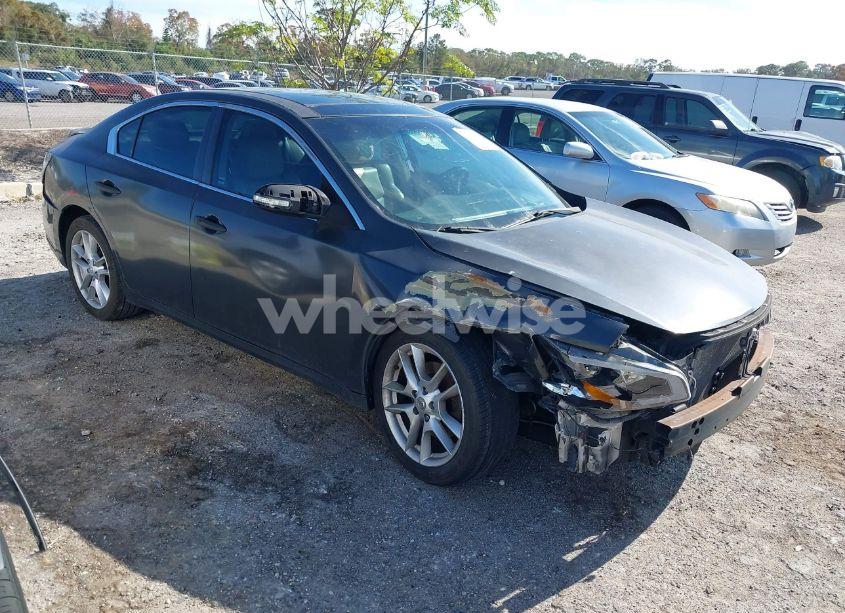 2009 Nissan Maxima 3.5 SV (VIN 1N4AA51E29C808229) main photo