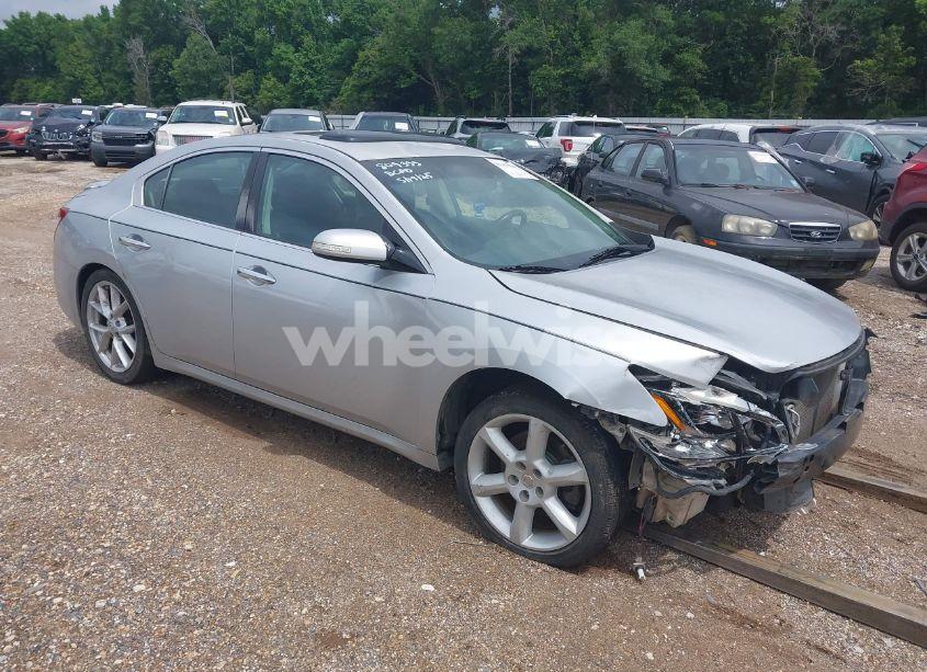 2009 Nissan Maxima 3.5 SV (VIN 1N4AA51E29C809333) main photo
