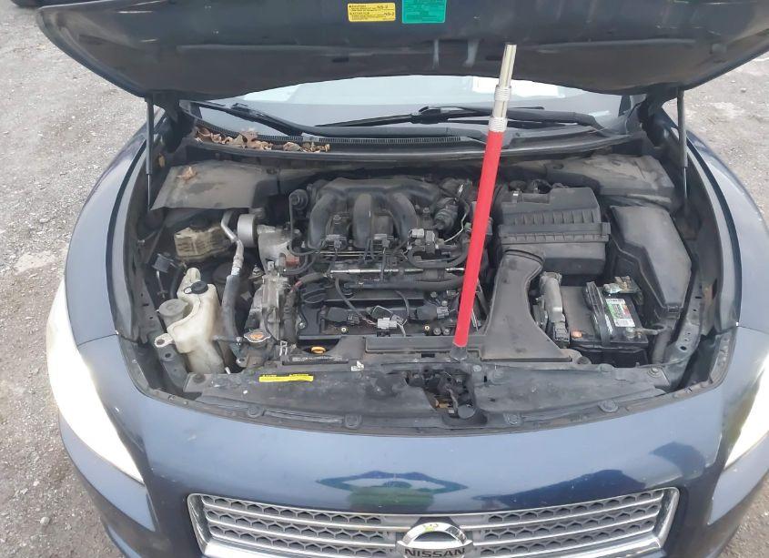 Photo 10 of 2009 Nissan Maxima 3.5 SV (VIN 1N4AA51E29C816282)