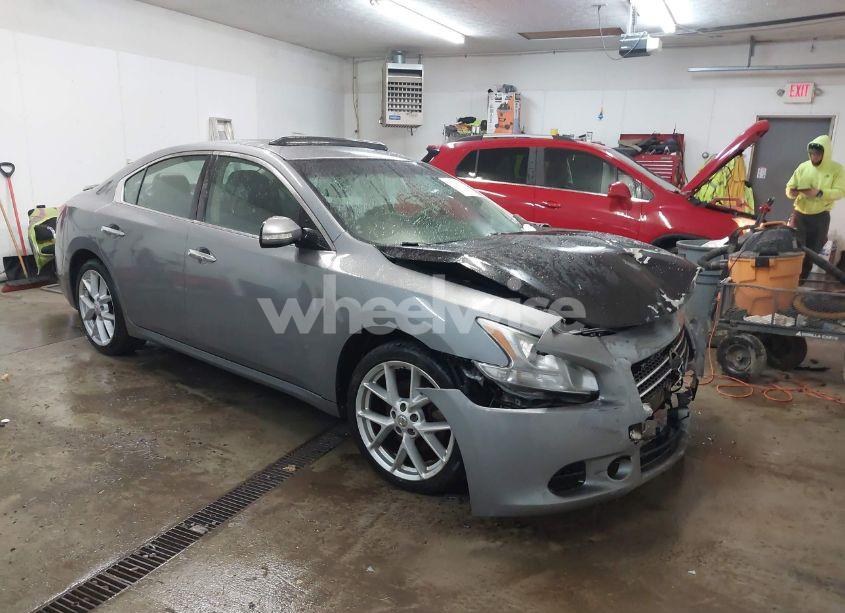 2009 Nissan Maxima 3.5 SV (VIN 1N4AA51E29C826939) main photo