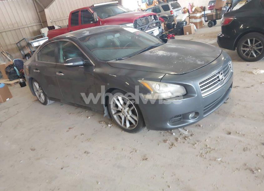 2009 Nissan Maxima 3.5 SV (VIN 1N4AA51E29C827105) main photo