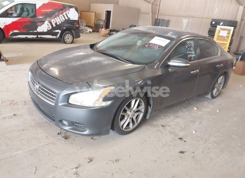 Photo 2 of 2009 Nissan Maxima 3.5 SV (VIN 1N4AA51E29C827105)