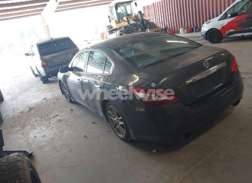 Photo 3 of 2009 Nissan Maxima 3.5 SV (VIN 1N4AA51E29C827105)