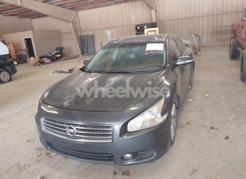 Photo 6 of 2009 Nissan Maxima 3.5 SV (VIN 1N4AA51E29C827105)