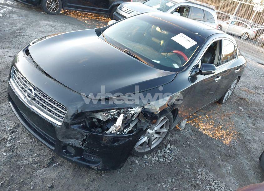 Photo 2 of 2009 Nissan Maxima 3.5 SV (VIN 1N4AA51E29C842624)