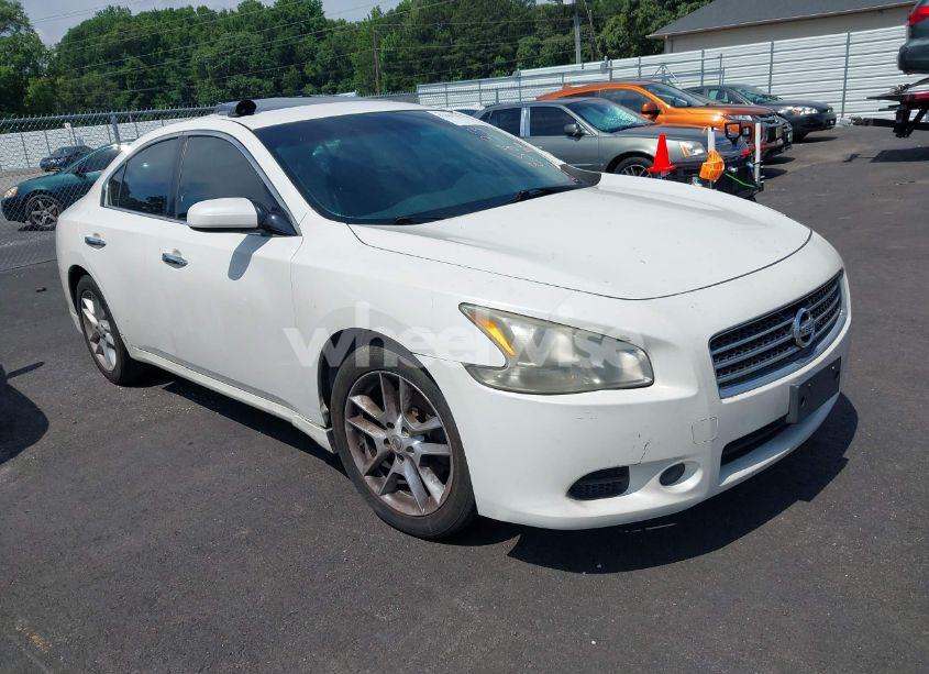 2009 Nissan Maxima 3.5 S (VIN 1N4AA51E29C858337) main photo