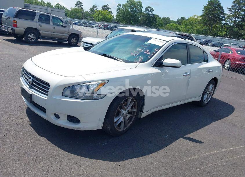 Photo 2 of 2009 Nissan Maxima 3.5 S (VIN 1N4AA51E29C858337)