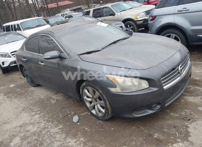 2009 Nissan Maxima 3.5 SV (VIN 1N4AA51E39C805565) main photo