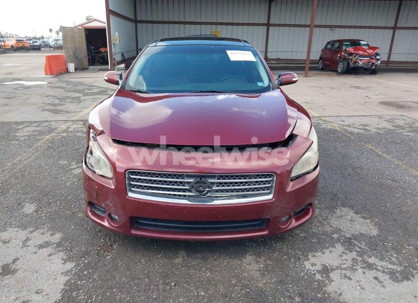 Photo 12 of 2009 Nissan Maxima 3.5 SV (VIN 1N4AA51E39C821734)